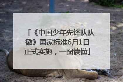 《中国少年先锋队队徽》国家标准6月1日正式实施，一图读懂