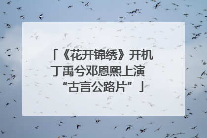 《花开锦绣》开机 丁禹兮邓恩熙上演“古言公路片”