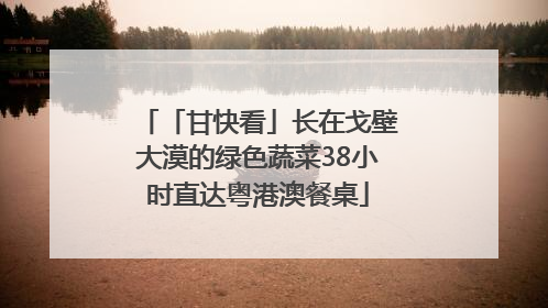 「甘快看」长在戈壁大漠的绿色蔬菜38小时直达粤港澳餐桌