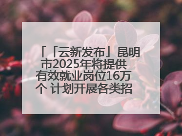 「云新发布」昆明市2025年将提供有效就业岗位16万个 计划开展各类招聘会200余场次