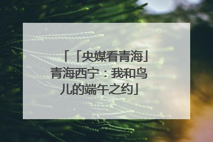 「央媒看青海」青海西宁：我和鸟儿的端午之约