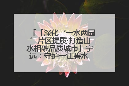 「深化‘一水两园’片区提质·打造山水相融品质城市」宁远：守护一江碧水 共享幸福河湖