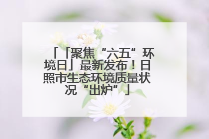「聚焦“六五”环境日」最新发布！日照市生态环境质量状况“出炉”