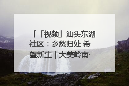 「视频」汕头东湖社区：乡愁归处 希望新生｜大美岭南·百村焕新记