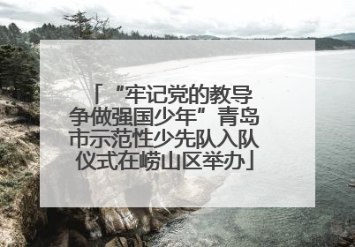 “牢记党的教导 争做强国少年”青岛市示范性少先队入队仪式在崂山区举办