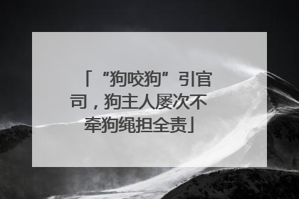“狗咬狗”引官司，狗主人屡次不牵狗绳担全责