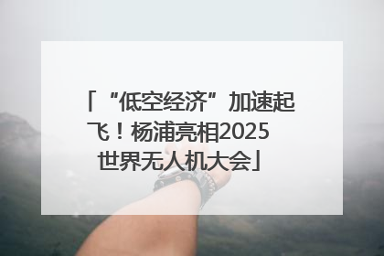 “低空经济”加速起飞！杨浦亮相2025世界无人机大会