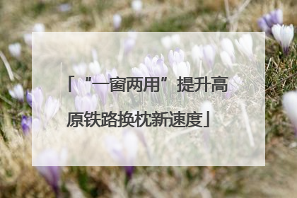 “一窗两用”提升高原铁路换枕新速度