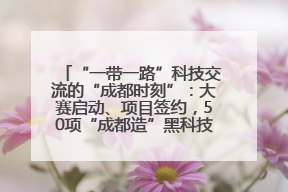 “一带一路”科技交流的“成都时刻”:大赛启动、项目签约,50项“成都造”黑科技吸引多国客商