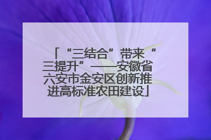 “三结合”带来“三提升”——安徽省六安市金安区创新推进高标准农田建设