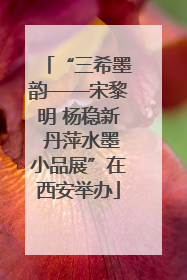 “三希墨韵——宋黎明 杨稳新 丹萍水墨小品展”在西安举办