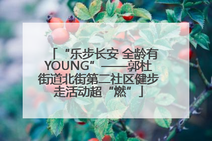 “乐步长安 全龄有YOUNG”——郭杜街道北街第二社区健步走活动超“燃”