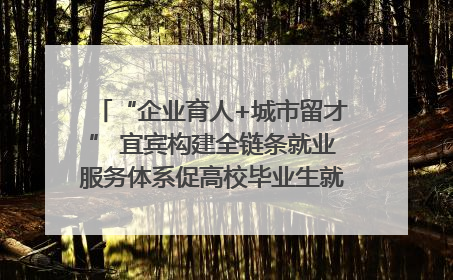 “企业育人+城市留才” 宜宾构建全链条就业服务体系促高校毕业生就业｜您牵挂的四川