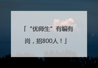 “优师生”有编有岗，招800人！