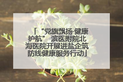 “党旗飘扬·健康护航” 滨医附院北海医院开展进盐企筑防线健康服务行动