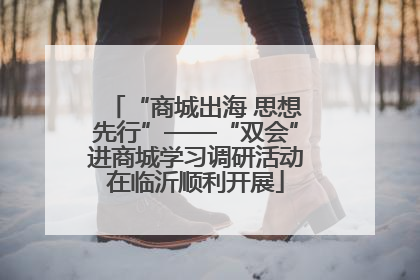 “商城出海 思想先行”——“双会”进商城学习调研活动在临沂顺利开展