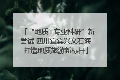 “地质+专业科研”新尝试 四川宜宾兴文石海打造地质旅游新标杆
