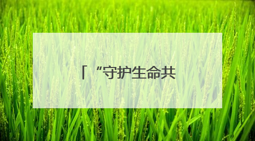 “守护生命共同体”，《魔域》让玩家成为亚洲象守护者