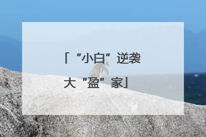 “小白”逆袭大“盈”家