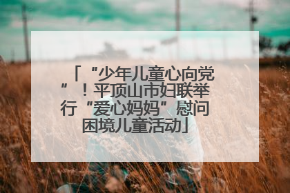 “少年儿童心向党”！平顶山市妇联举行“爱心妈妈”慰问困境儿童活动
