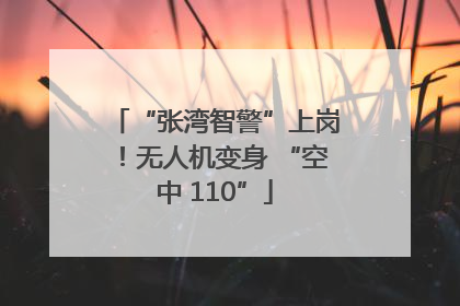 “张湾智警”上岗！无人机变身 “空中 110”