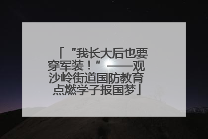 “我长大后也要穿军装！”——观沙岭街道国防教育点燃学子报国梦