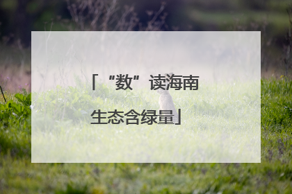 “数”读海南生态含绿量