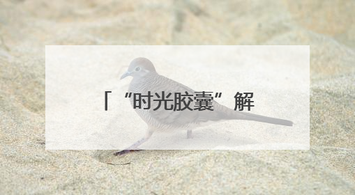 “时光胶囊”解码万年农耕文明（考古中国）
