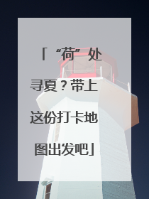 “荷”处寻夏？带上这份打卡地图出发吧