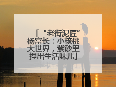 “老街泥匠”杨富长：小核桃大世界，紫砂里捏出生活味儿