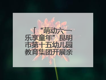 “萌动六一·乐享童年”昆明市第十五幼儿园教育集团开展亲子运动会闭幕