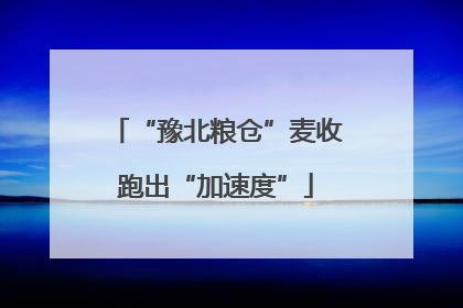 “豫北粮仓”麦收跑出“加速度”