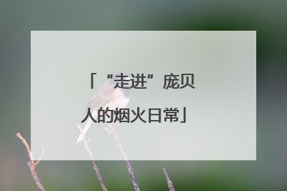 “走进”庞贝人的烟火日常