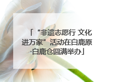 “非遗志愿行 文化进万家”活动在白鹿原·白鹿仓圆满举办