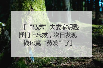 “马虎”夫妻家钥匙插门上忘拔，次日发现钱包竟“蒸发”了