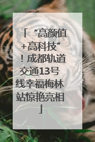 “高颜值+高科技”！成都轨道交通13号线幸福梅林站惊艳亮相