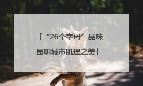 “26个字母”品味昆明城市肌理之美