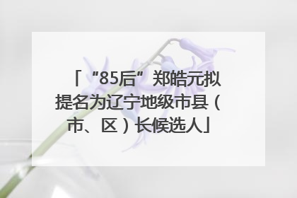 “85后”郑皓元拟提名为辽宁地级市县（市、区）长候选人