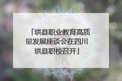 珙县职业教育高质量发展座谈会在四川珙县职校召开