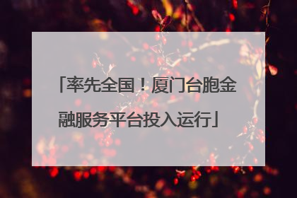 率先全国！厦门台胞金融服务平台投入运行