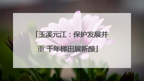 玉溪元江：保护发展并重 千年梯田展新颜