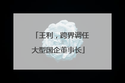 王利，跨界调任大型国企董事长