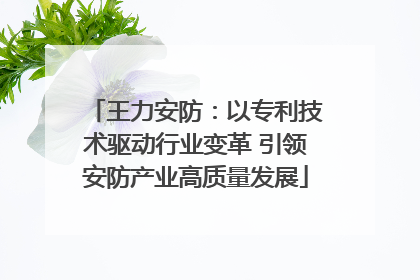 王力安防：以专利技术驱动行业变革 引领安防产业高质量发展
