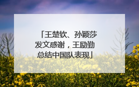 王楚钦、孙颖莎发文感谢，王励勤总结中国队表现