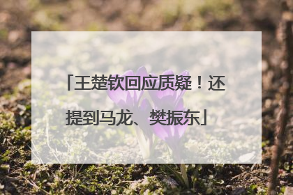 王楚钦回应质疑！还提到马龙、樊振东