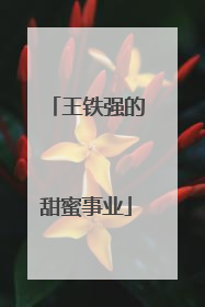 王铁强的甜蜜事业