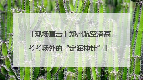现场直击丨郑州航空港高考考场外的“定海神针”