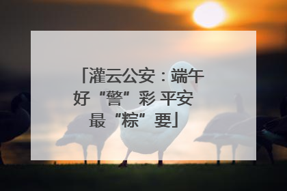 灌云公安：端午好“警”彩 平安最“粽”要