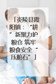 炎陵县霞阳镇：“耕”新聚力护粮仓 筑牢粮食安全“压舱石”