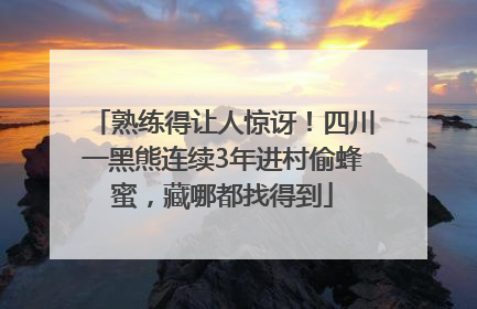 熟练得让人惊讶！四川一黑熊连续3年进村偷蜂蜜，藏哪都找得到